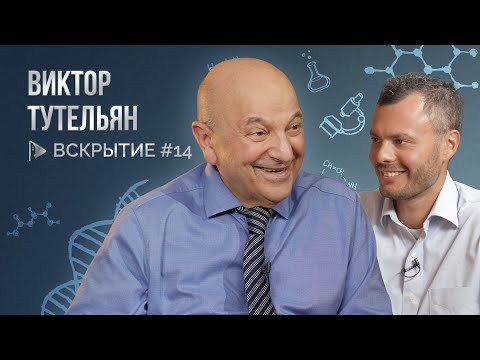 Популярные диеты, пищевая безопасность и роль еды